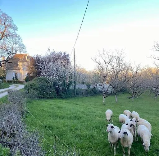 La Grangette De Paunac Cazillac